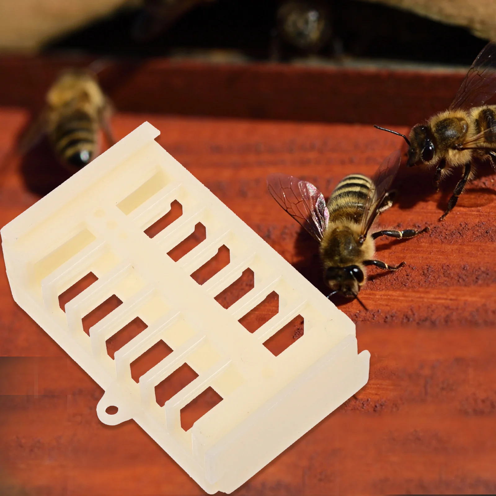 1Set Plastic Bee Catcher Queen Cage Beekeeping Tools Set Large Capacity Bee Cage Clip Equipment Beekeeping Tools
1Set Plastic Bee Catcher Queen Cage Beekeeping Tools Set Large Capacity Bee Cage Clip Equipment Beekeeping Tools