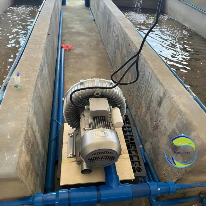 Pond Oxygenateur Pour Poisson Pisciculture Oxygenation Fish Farming Oxygenator For Fish Farm Pond
Pond Oxygenateur Pour Poisson Pisciculture Oxygenation Fish Farming Oxygenator For Fish Farm Pond