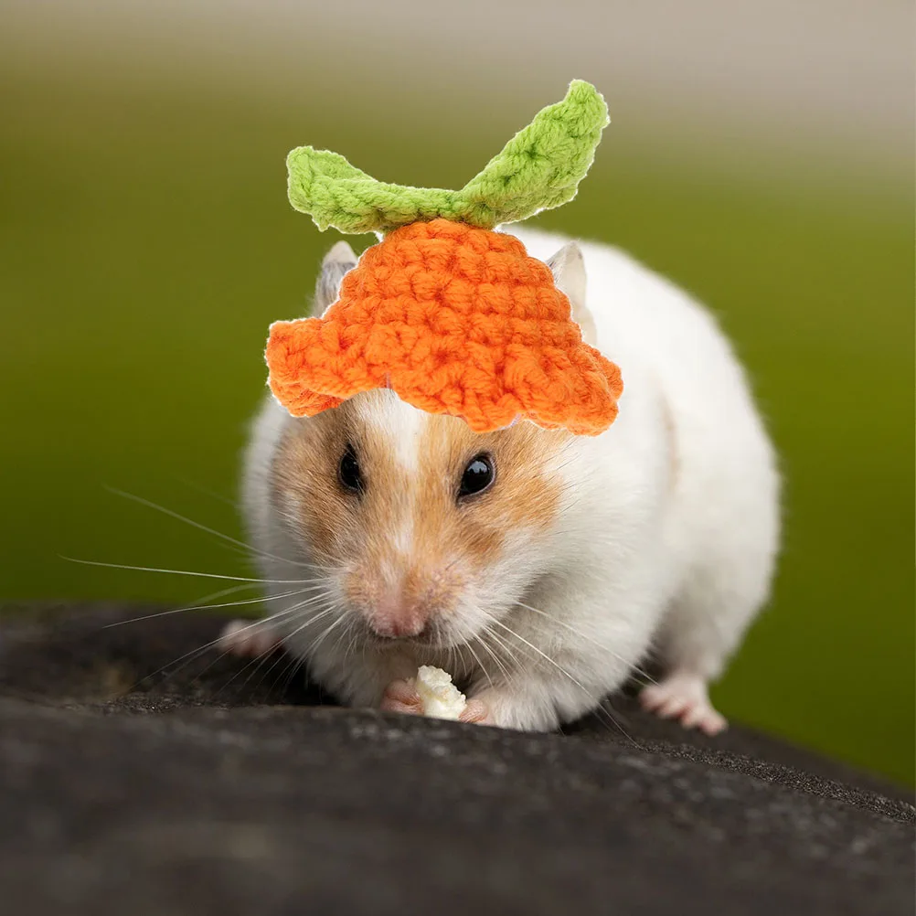 2pcs Adorable Small Hats Lovely Decorative Hamster Guinea Pig Rats Costume Accessories Cute Squirrel Knitted Headwear Pet 
2pcs Adorable Small Hats Lovely Decorative Hamster Guinea Pig Rats Costume Accessories Cute Squirrel Knitted Headwear Pet