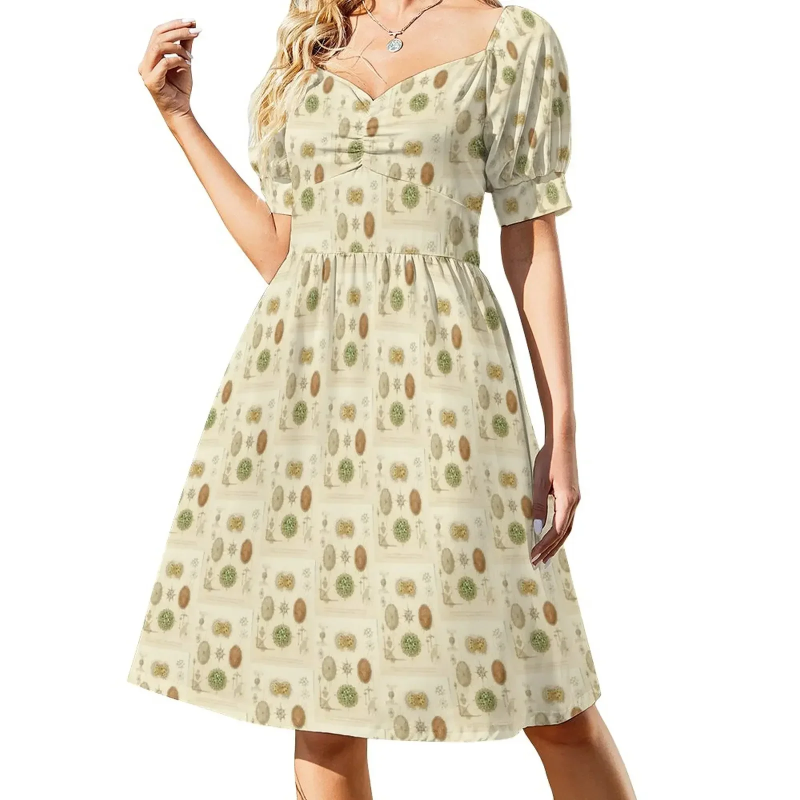 HD Radiolaria (1862) by Ernst Haeckels (4 of 5 designs) Short-Sleeved Dress women's clothing trend 2025 Dance dresses Dress
HD Radiolaria (1862) by Ernst Haeckels (4 of 5 designs) Short-Sleeved Dress women's clothing trend 2025 Dance dresses Dress
