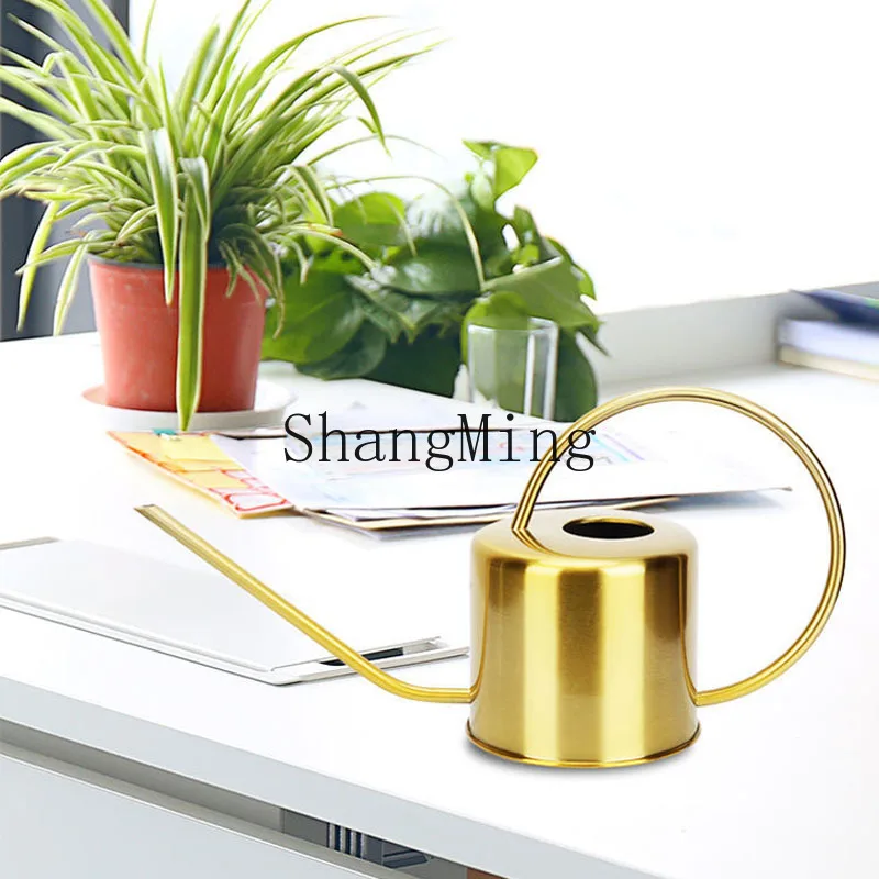 PYH Garden Plant Vintage Sprinkler Large Capacity Stainless Steel Watering Metal Watering Household Long Spout
PYH Garden Plant Vintage Sprinkler Large Capacity Stainless Steel Watering Metal Watering Household Long Spout