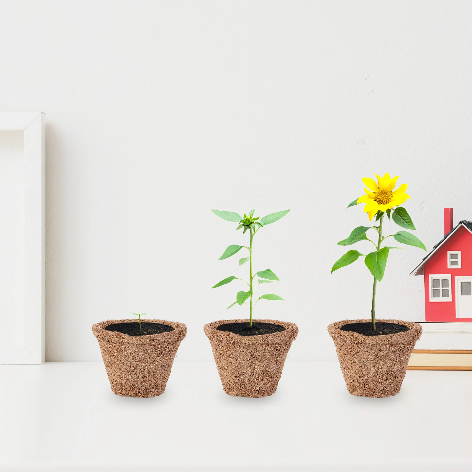 10Pcs Plant Pot Nursery Container Natural Coconut Fiber Planter Decorative Flower Basket Mat Garden Balcony Use
10Pcs Plant Pot Nursery Container Natural Coconut Fiber Planter Decorative Flower Basket Mat Garden Balcony Use