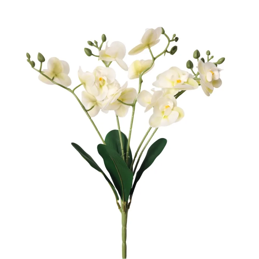 5 Heads Artificial Orchid Realistic with Leaves Simulation Orchid Flowers Lifelike Real Touch Fake Flower Home Living Room Decor
5 Heads Artificial Orchid Realistic with Leaves Simulation Orchid Flowers Lifelike Real Touch Fake Flower Home Living Room Decor