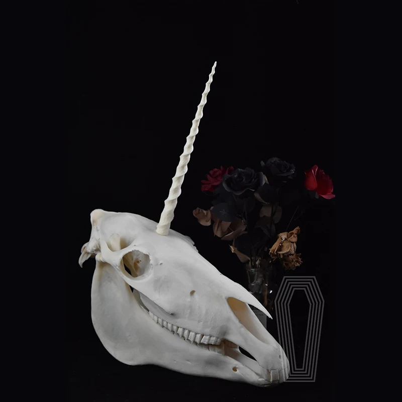 2124 Original Unicorn Skull Bone Specimen Teaching Sculpture Animal Crafts Art Collectibles Desktop Ornament Brithday Gift
2124 Original Unicorn Skull Bone Specimen Teaching Sculpture Animal Crafts Art Collectibles Desktop Ornament Brithday Gift