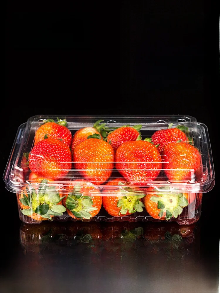 Disposable Fruit Paaging Box Plastic Transparent Cover for Stberries Cherries Lychees Pines Fre ceries Superma...
Disposable Fruit Paaging Box Plastic Transparent Cover for Stberries Cherries Lychees Pines Fre ceries Superma...