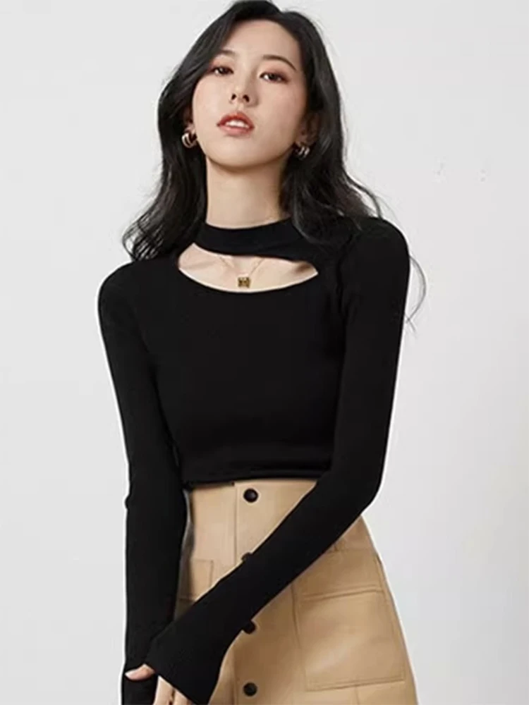 Women's Knitted Hollow out Base Shirt Spring Autumn Outerwear Shoulder Baring Top Inner Wear Outer Wear Commute Style Slim Fit
Women's Knitted Hollow out Base Shirt Spring Autumn Outerwear Shoulder Baring Top Inner Wear Outer Wear Commute Style Slim Fit