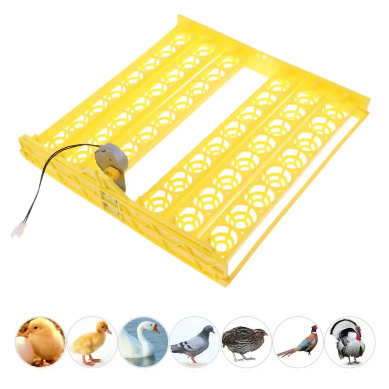 56 Digital Automatic Egg Turning Plate for Incubator Hatcher Brooder for Bird Supplies Chicken Duck Goose Eggs Incubator
56 Digital Automatic Egg Turning Plate for Incubator Hatcher Brooder for Bird Supplies Chicken Duck Goose Eggs Incubator