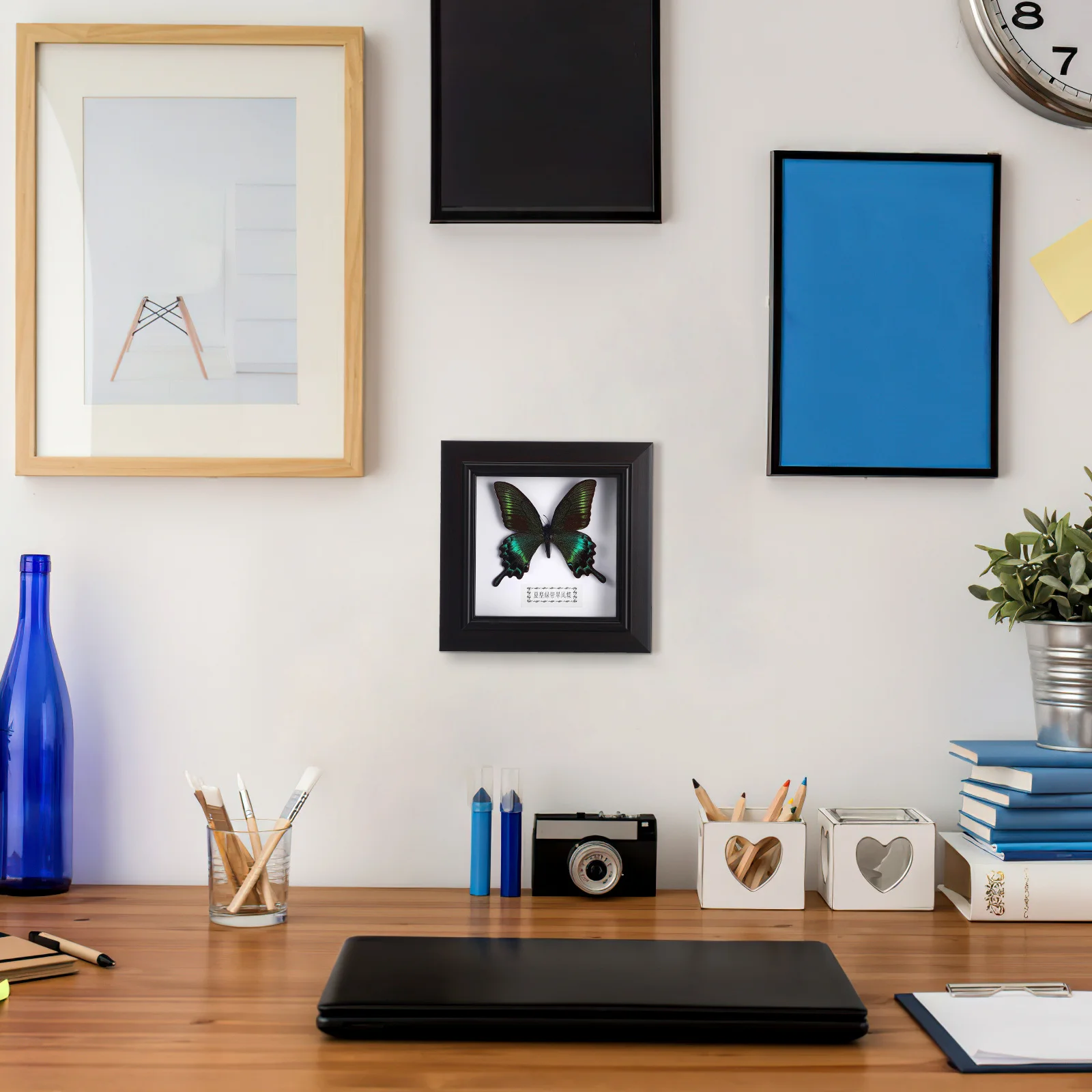 Mounted Butterfly Specimen Decoration Framed Fake Butterflies Specimens Insect Home
Mounted Butterfly Specimen Decoration Framed Fake Butterflies Specimens Insect Home