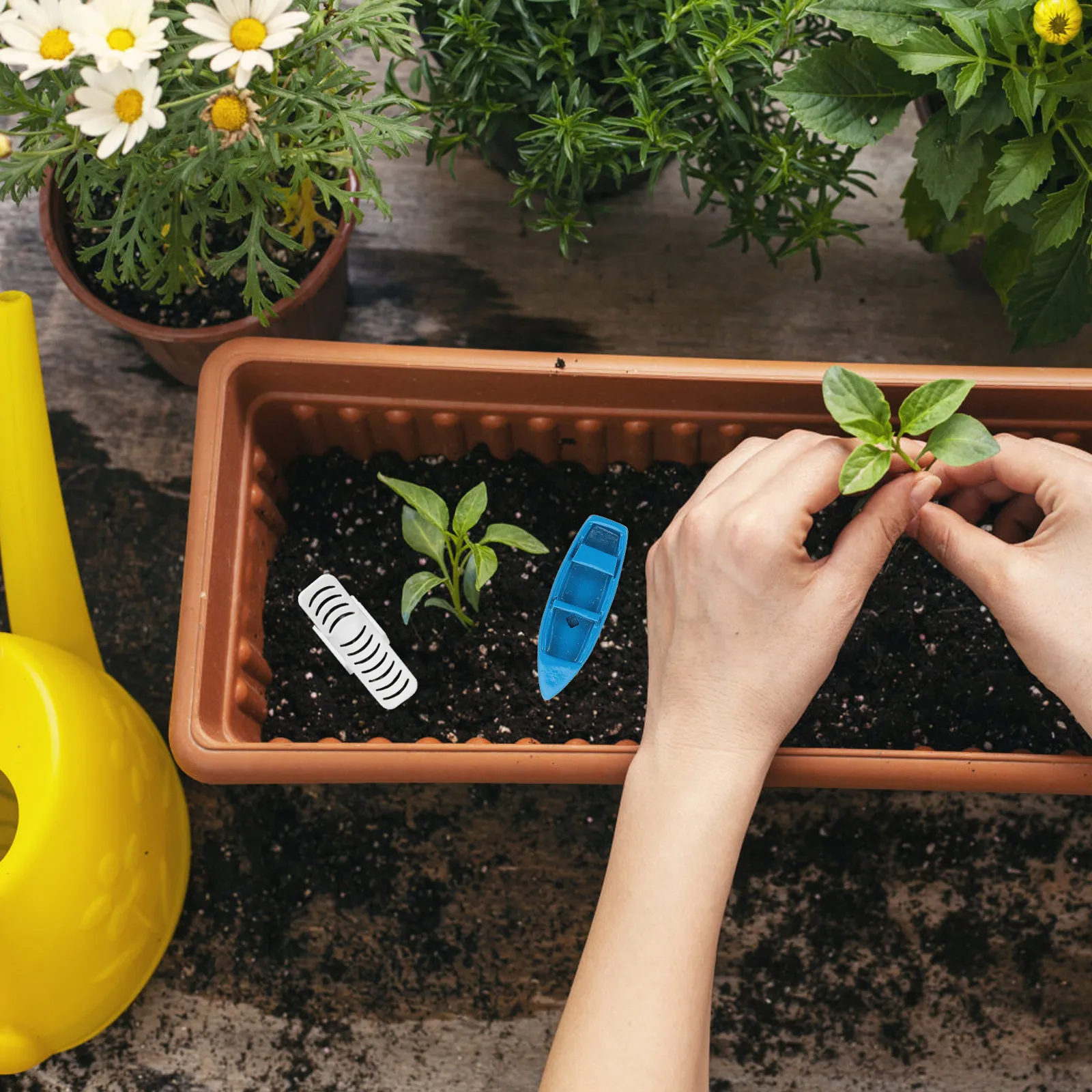 1Set Mini Beach Decorations Adorable Miniature Beach Chair Boat Set for Garden Dollhouse Decor Desktop Decoration Ocean Theme
1Set Mini Beach Decorations Adorable Miniature Beach Chair Boat Set for Garden Dollhouse Decor Desktop Decoration Ocean Theme