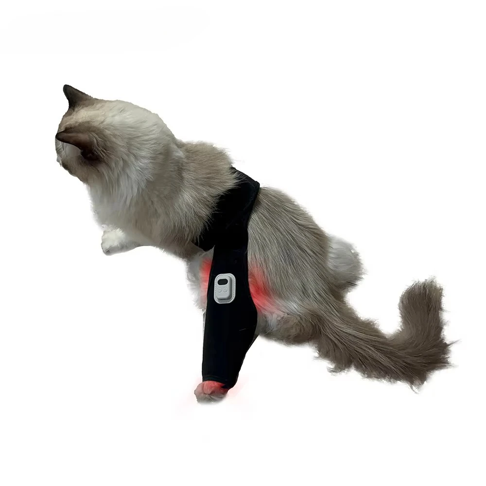 Wearable Infrared Light Therapy Pad for Dogs Cats 660nm 850nm Soft Pet Healing Belt for Muscle & Hip Dysplasia Relief
Wearable Infrared Light Therapy Pad for Dogs Cats 660nm 850nm Soft Pet Healing Belt for Muscle & Hip Dysplasia Relief
