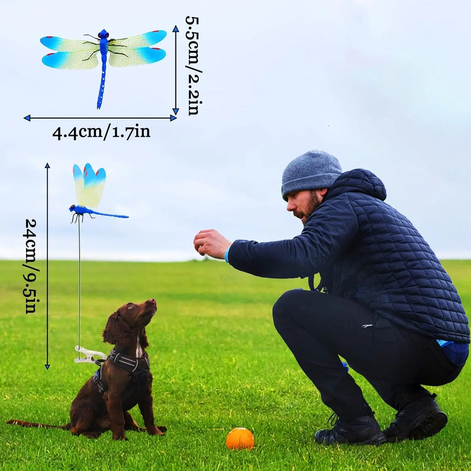 3PCS Outdoor Fake Dragonfly Rod Clip Natural Organic Concept 3D Dragonfly Garden Decoration Creative Home Accessories
3PCS Outdoor Fake Dragonfly Rod Clip Natural Organic Concept 3D Dragonfly Garden Decoration Creative Home Accessories