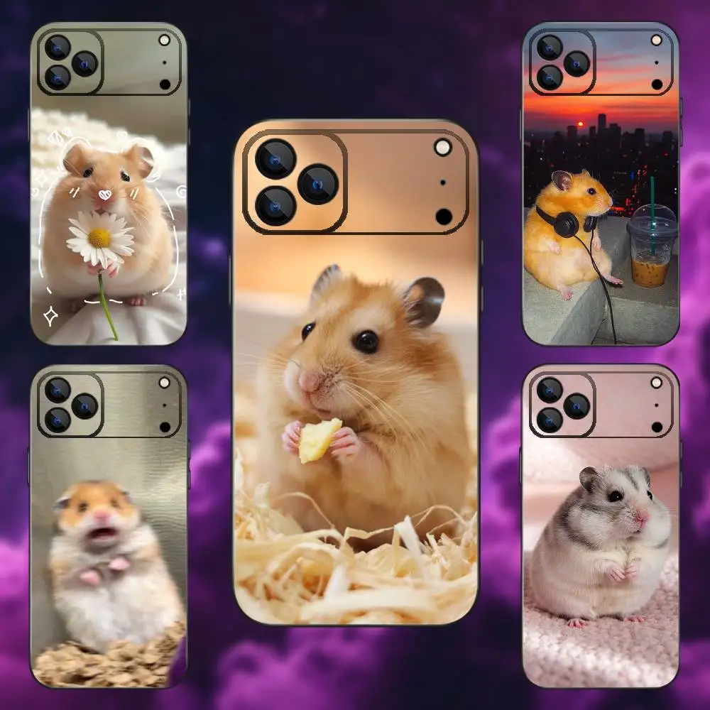 Cute Animal Hamster Phone Case For iPhone 17,16,15,14,13,12,Pro,Max,Plus,E,SE4,Air,Mini Black Soft Box
Cute Animal Hamster Phone Case For iPhone 17,16,15,14,13,12,Pro,Max,Plus,E,SE4,Air,Mini Black Soft Box
