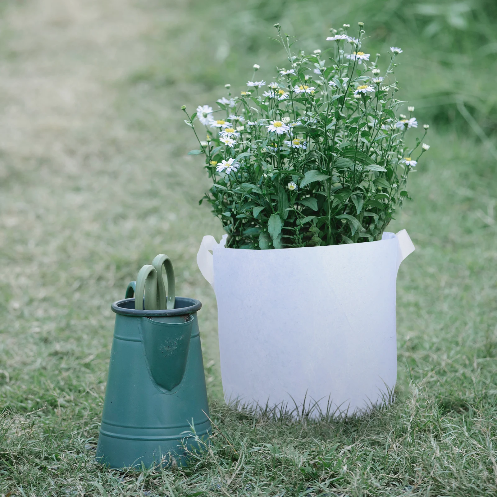 10pcs Planting Bags Non-Woven Fabric Grow Bags For Garden Vegetables Flowers Fruits Tree Nursery Pots Container Reusable Fabric 
10pcs Planting Bags Non-Woven Fabric Grow Bags For Garden Vegetables Flowers Fruits Tree Nursery Pots Container Reusable Fabric