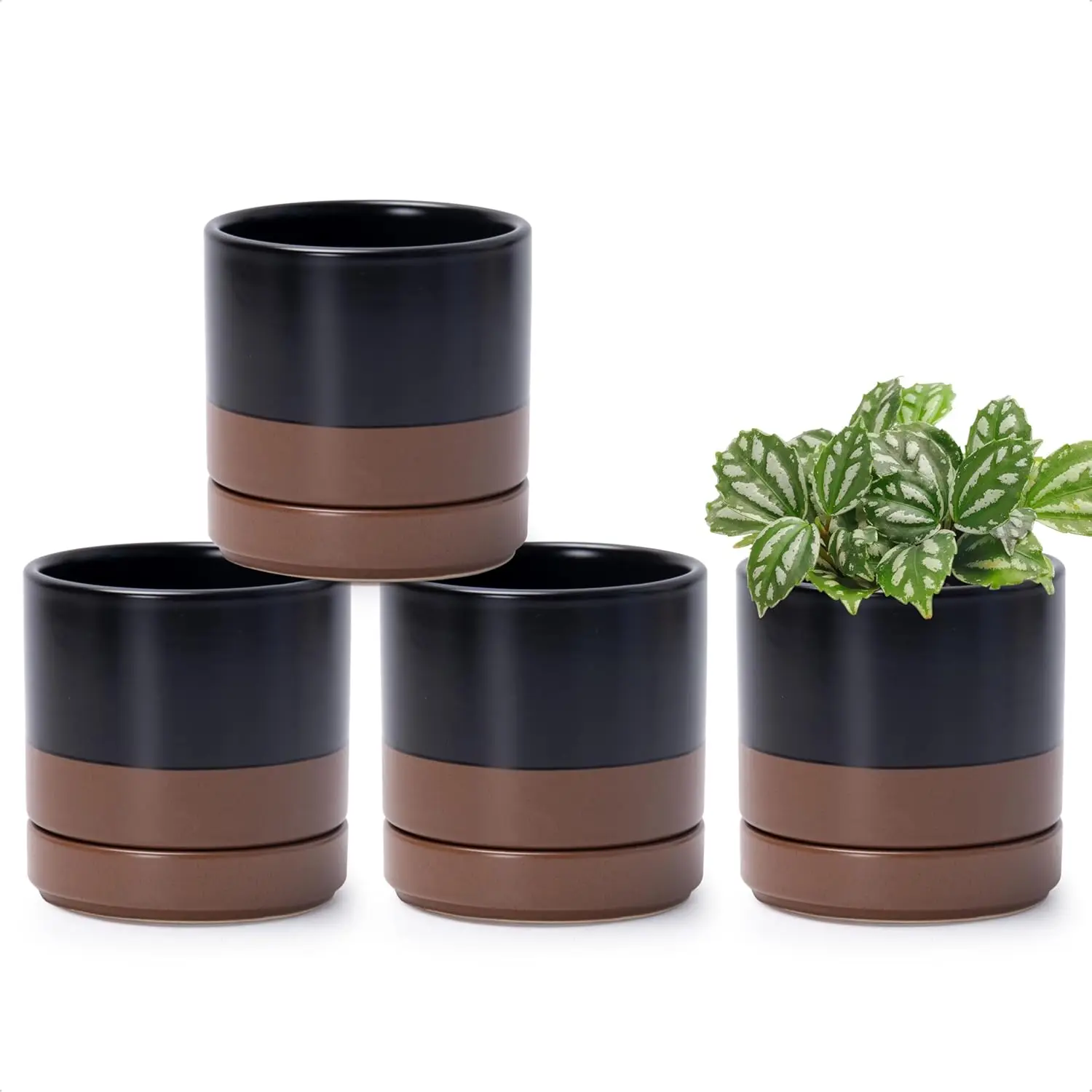 Set of 4 Small Ceramic Plant Pots, 4.7 Inch Succulent Planter Pot for Plants with Drainage Hole and Saucer, Black/Speckl
Set of 4 Small Ceramic Plant Pots, 4.7 Inch Succulent Planter Pot for Plants with Drainage Hole and Saucer, Black/Speckl