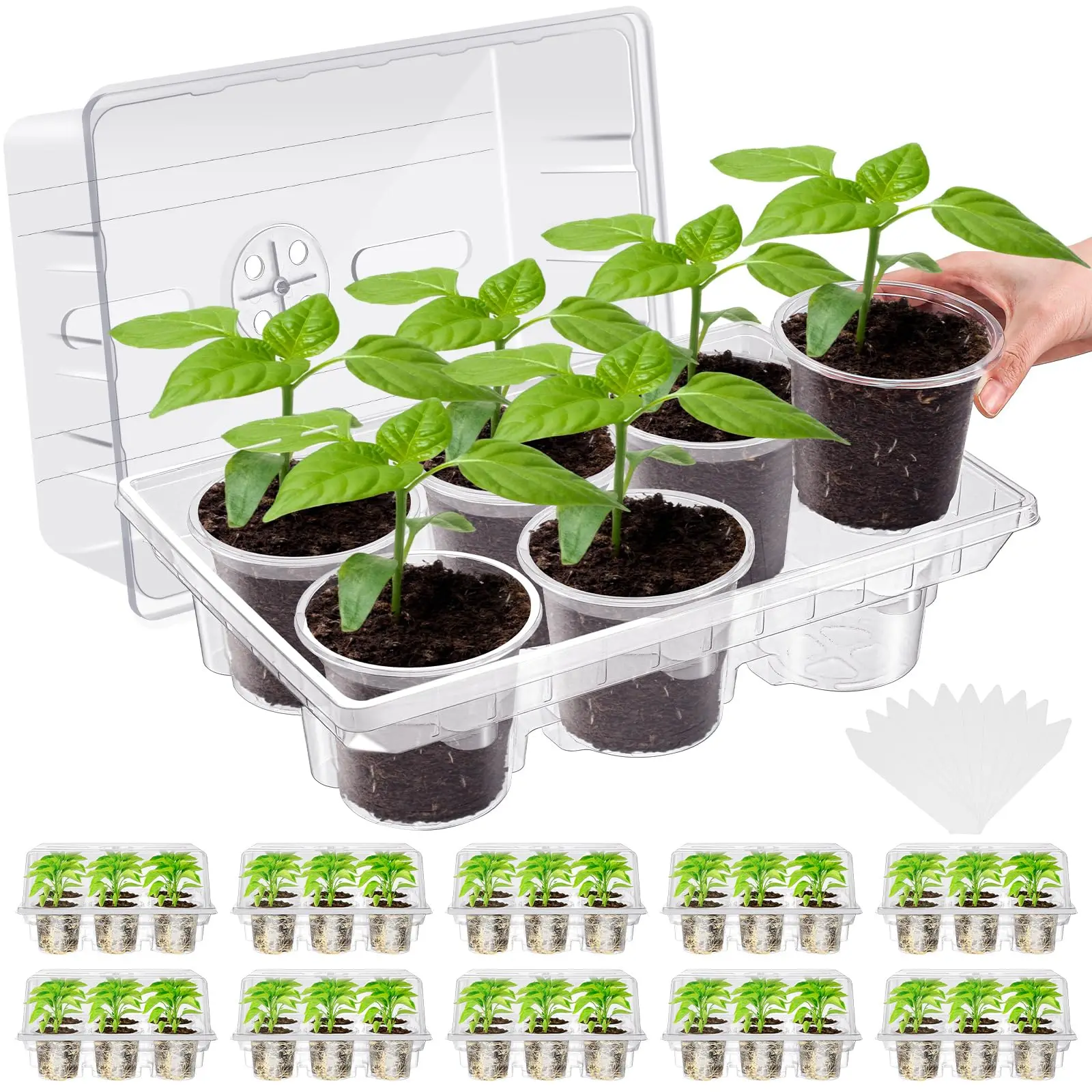 10 Pack Seed Starter Tray Kit With 60pcs 4 Inch Nursery Pots Humidity Dome Mini Greenhouse For Plant Germination
10 Pack Seed Starter Tray Kit With 60pcs 4 Inch Nursery Pots Humidity Dome Mini Greenhouse For Plant Germination