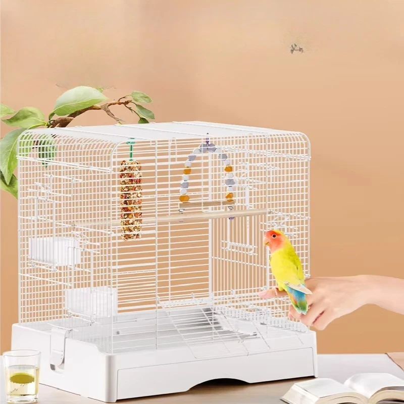 Luxury Goldfinch Bird Cages Hammock Acrylic Parrot Large Bird Cages House Things Accessories Jaula Para Canarios Pet Supplies
Luxury Goldfinch Bird Cages Hammock Acrylic Parrot Large Bird Cages House Things Accessories Jaula Para Canarios Pet Supplies