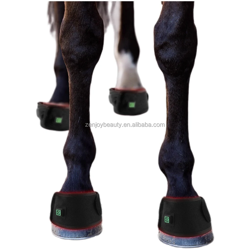 Built-In Battery Infrared Led Red Light Therapy Horse Belt Led Red Light Therapy Wrap Belt for Relieve Pain Health
Built-In Battery Infrared Led Red Light Therapy Horse Belt Led Red Light Therapy Wrap Belt for Relieve Pain Health