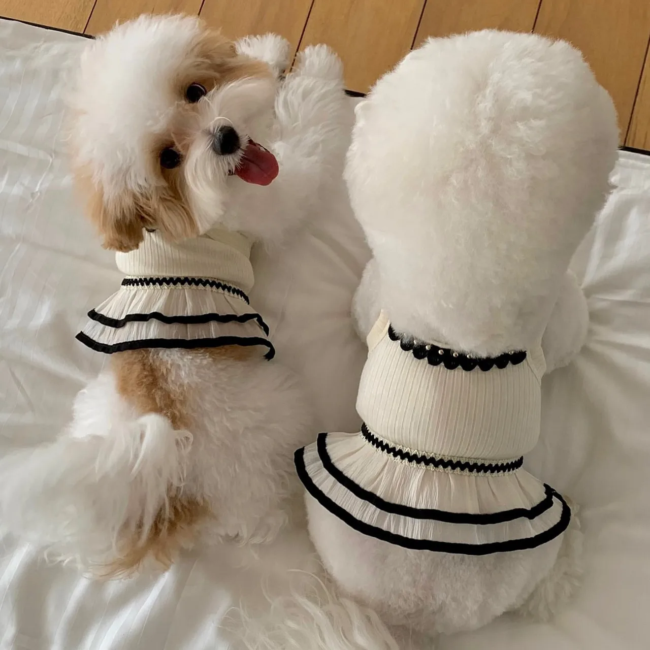 Summer Dog Cat Clothes Camisole Vest Gauze Dress Puppy Clothes Dog Dresses Pet Products Ropa Perro
Summer Dog Cat Clothes Camisole Vest Gauze Dress Puppy Clothes Dog Dresses Pet Products Ropa Perro
