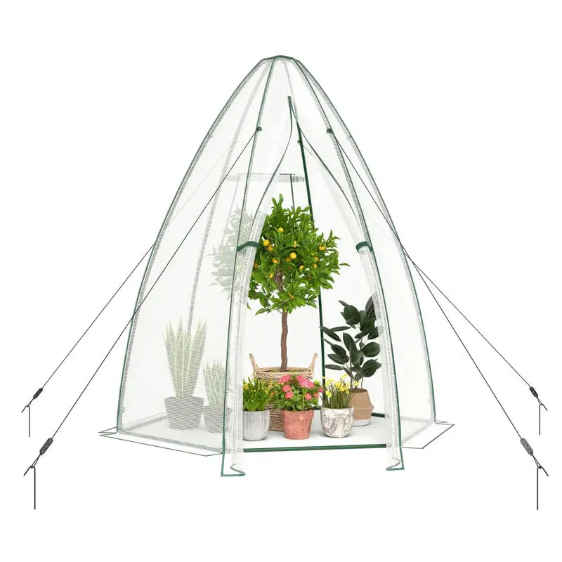 5.5 x 5.5 x 6 Feett Portable Garden Mini Greenhouse with All-Weather PE Cover-White
5.5 x 5.5 x 6 Feett Portable Garden Mini Greenhouse with All-Weather PE Cover-White