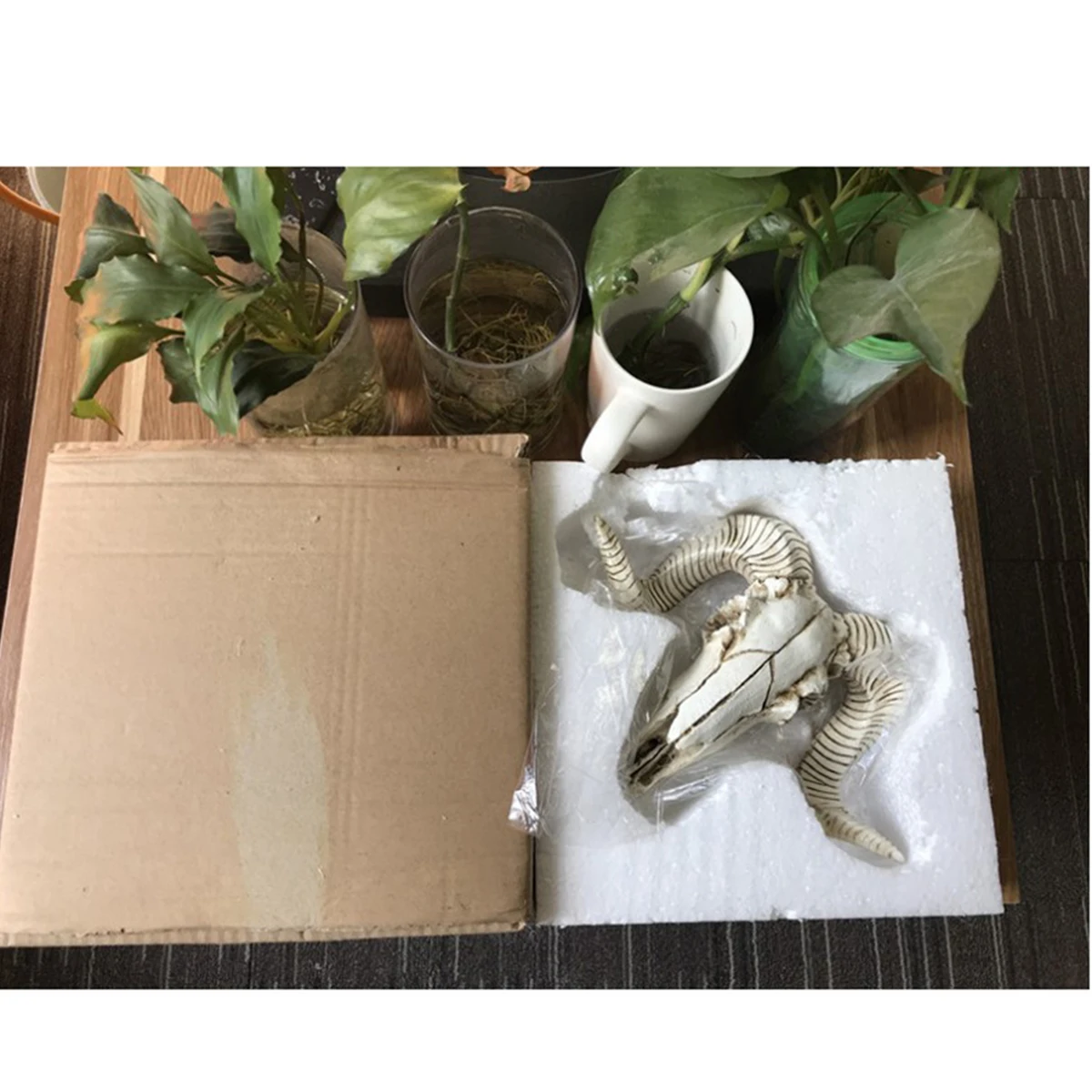 Sheepshead Skull Wall Hanging Creative Resin Home Decor No Odor No Distortion Attractive Design for Living Spaces
Sheepshead Skull Wall Hanging Creative Resin Home Decor No Odor No Distortion Attractive Design for Living Spaces