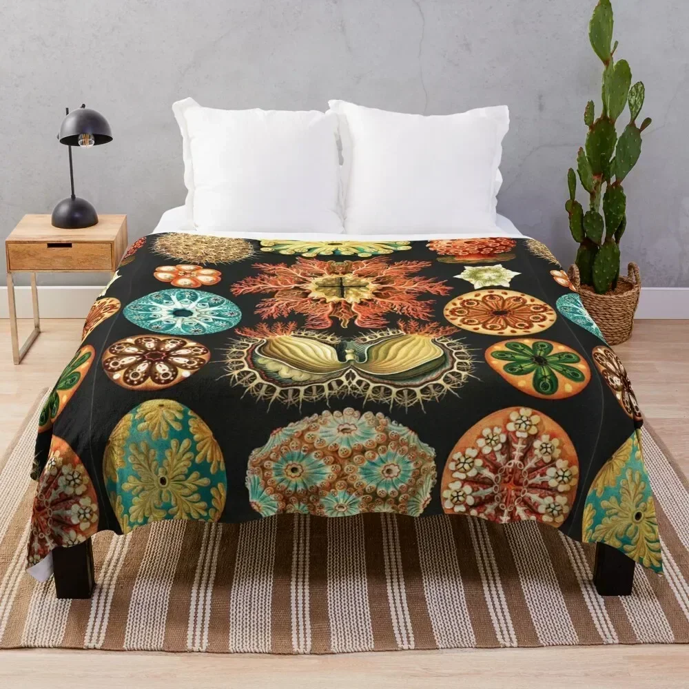 Artforms in Nature by Ernst Haeckel Throw Blanket Warm Plush Fuzzy Blanket for Living Room
Artforms in Nature by Ernst Haeckel Throw Blanket Warm Plush Fuzzy Blanket for Living Room