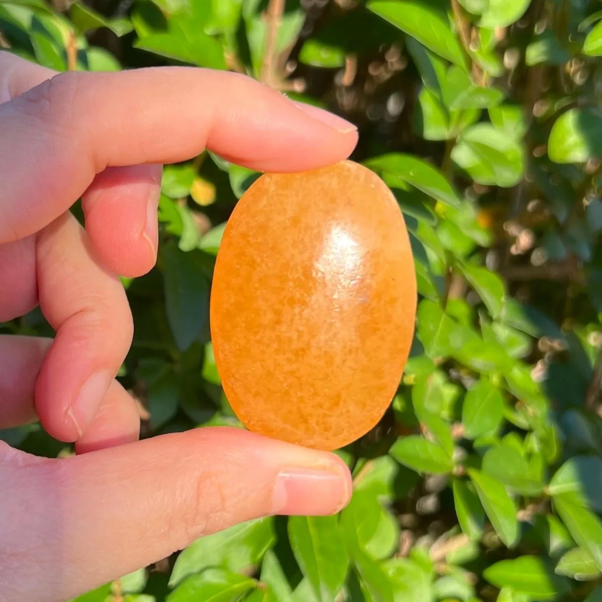 Orange Calcite Palm Stone, Extra Grade ~70x50mm | PS110
Orange Calcite Palm Stone, Extra Grade ~70x50mm | PS110