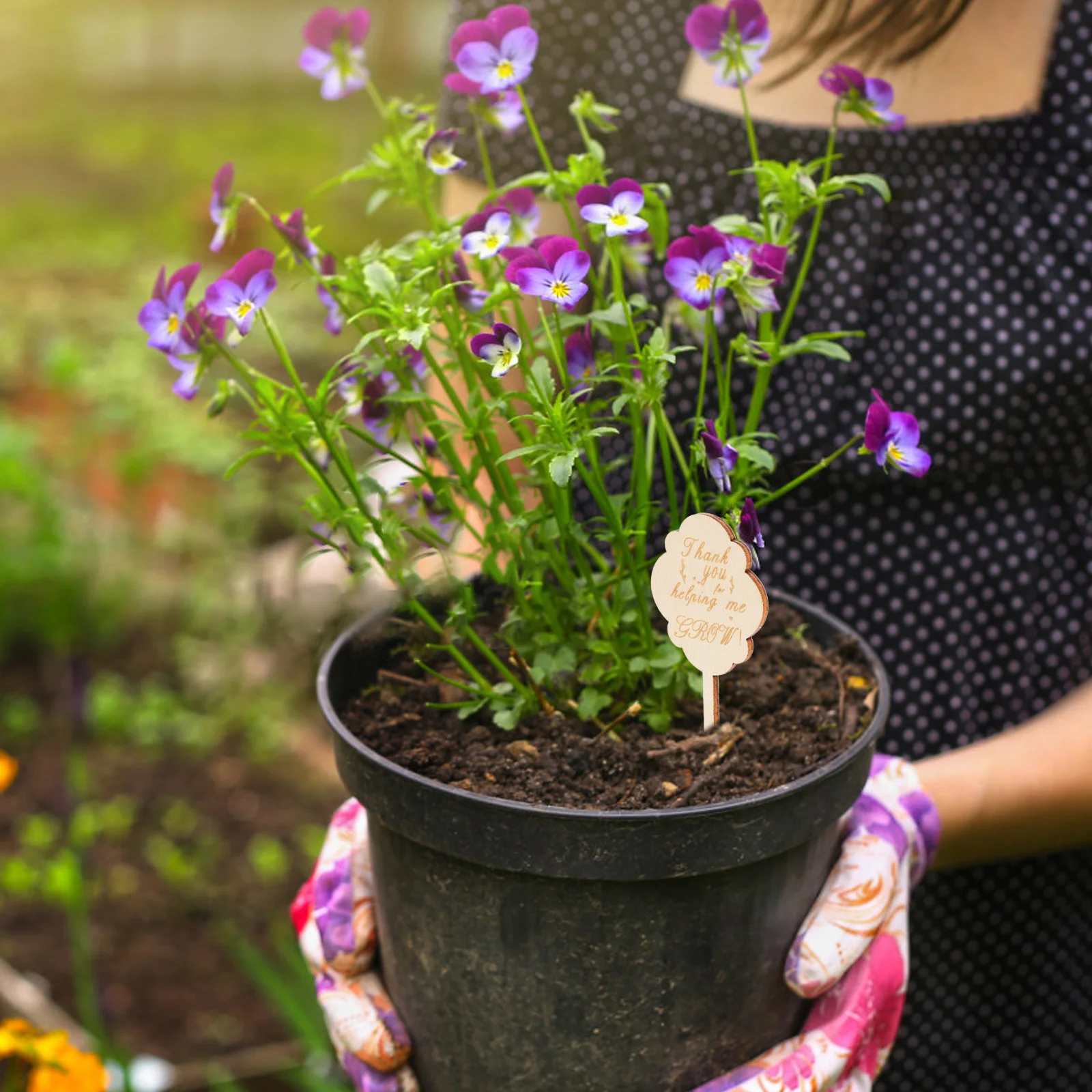 25Pcs Bamboo Garden Tags Writable Wooden Plant Labels Thank You for Helping Me Grow Markers for Succulents Herbs Flowers Teacher
25Pcs Bamboo Garden Tags Writable Wooden Plant Labels Thank You for Helping Me Grow Markers for Succulents Herbs Flowers Teacher