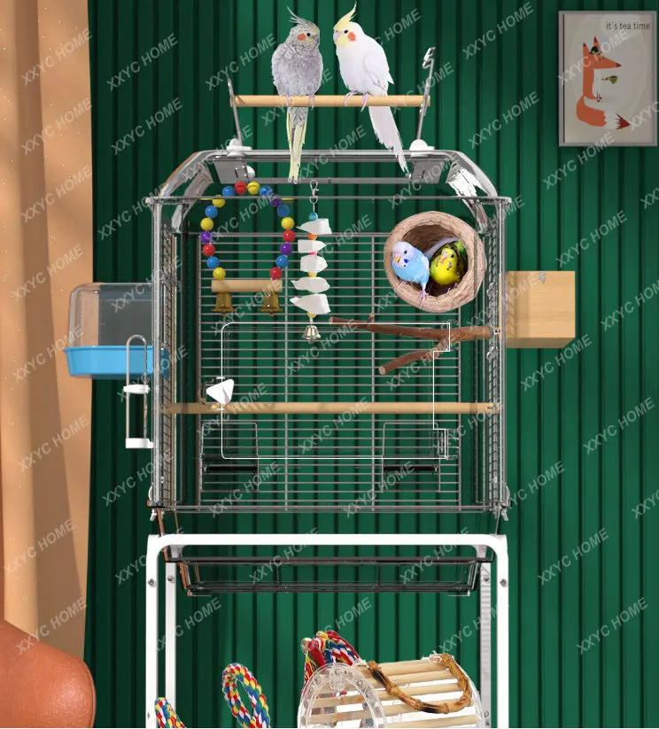 Bird Cage Weft Threads Full Landscape Large Cage Peony White Eye Thrush Acrylic Xuanfeng Parrot Special Cage
Bird Cage Weft Threads Full Landscape Large Cage Peony White Eye Thrush Acrylic Xuanfeng Parrot Special Cage