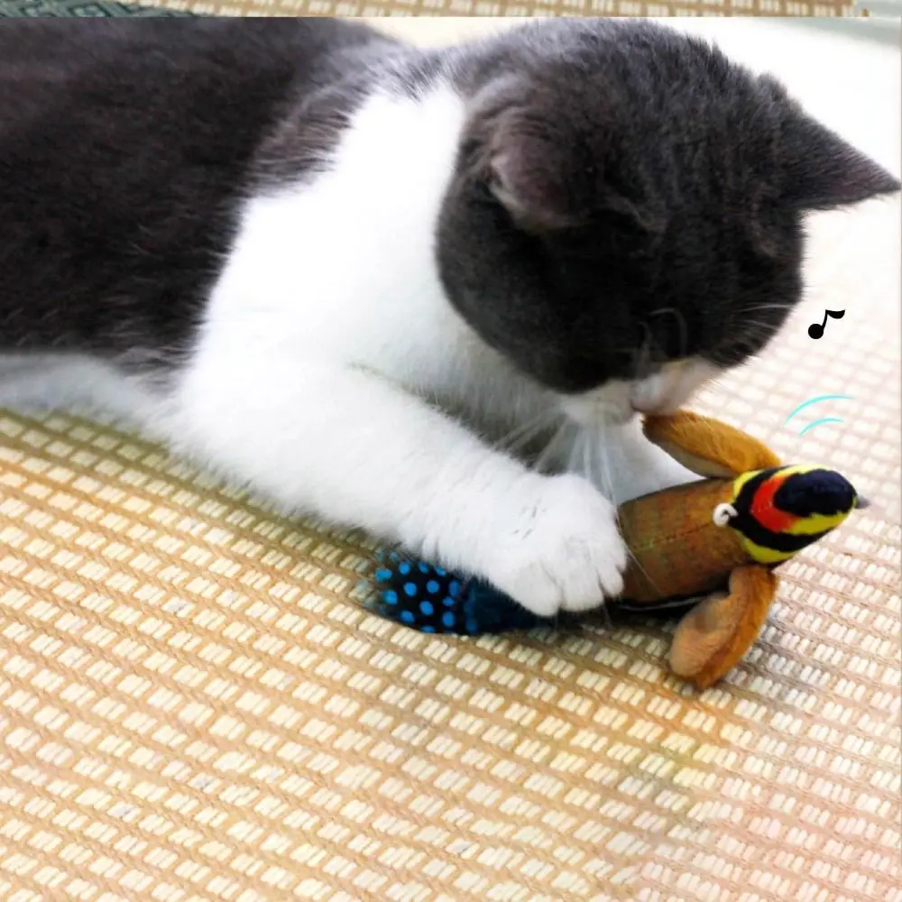PVC/Feather/Cloth Chirping Bird Cat Toy Interactive Simulation Cat Teasing Stick Bird Colorful Cat Interactive Toy
PVC/Feather/Cloth Chirping Bird Cat Toy Interactive Simulation Cat Teasing Stick Bird Colorful Cat Interactive Toy