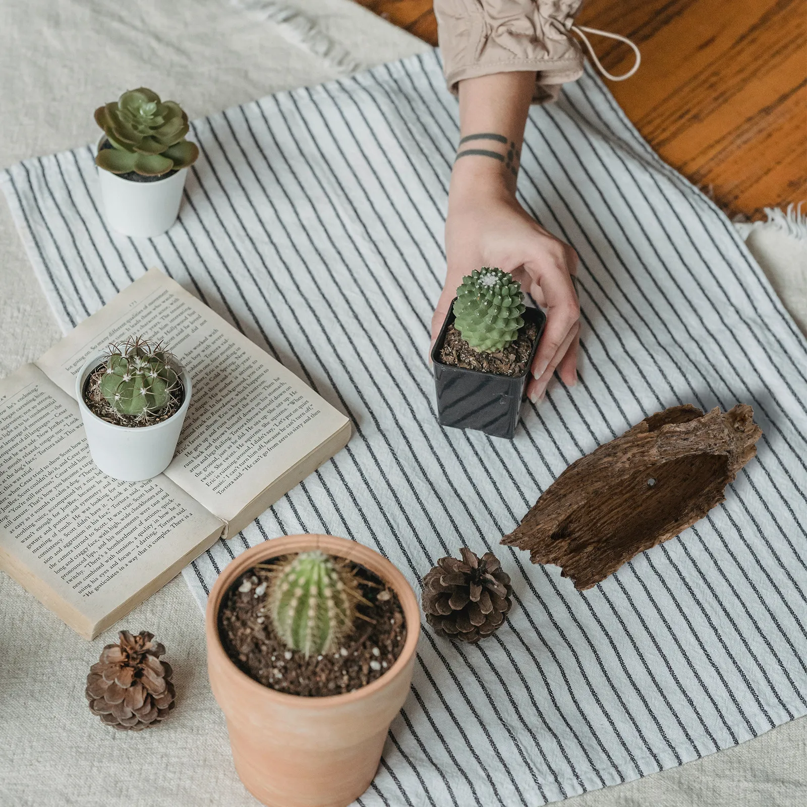 1Pcs Succulent Plant Pot Creative Resin Flowerpot Imitation Wood Root Large Diameter Garden Balcony Tabletop Decor
1Pcs Succulent Plant Pot Creative Resin Flowerpot Imitation Wood Root Large Diameter Garden Balcony Tabletop Decor