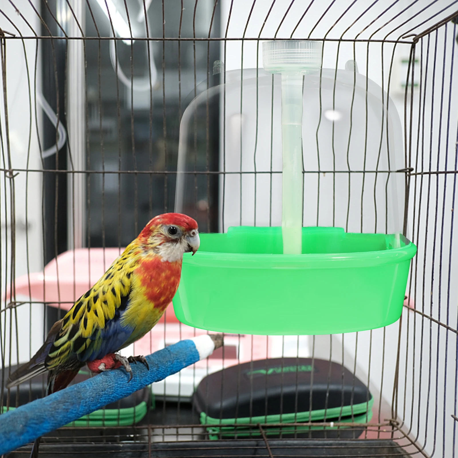 Bird Bath Box for Birdcages Parrot Budgie Small Covered Baths Cage Door Canary Maintenance Healthy Habits Pet Supplies 
Bird Bath Box for Birdcages Parrot Budgie Small Covered Baths Cage Door Canary Maintenance Healthy Habits Pet Supplies