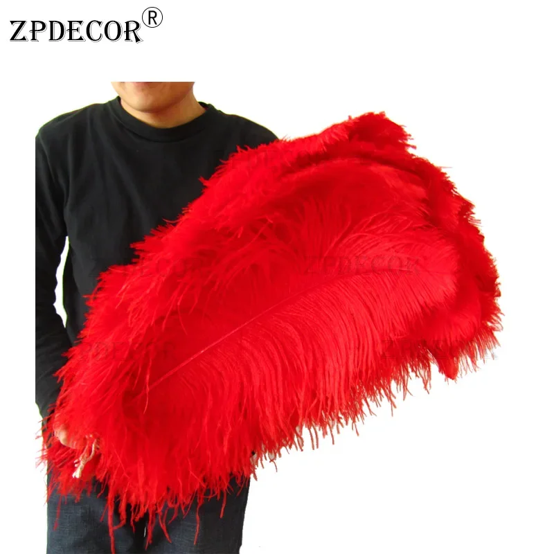ZPDECOR страусиные перья с большим полюсом 22-24 дюйма 55-60 см для поделок своими руками, домашнего декора, перья
ZPDECOR страусиные перья с большим полюсом 22-24 дюйма 55-60 см для поделок своими руками, домашнего декора, перья
