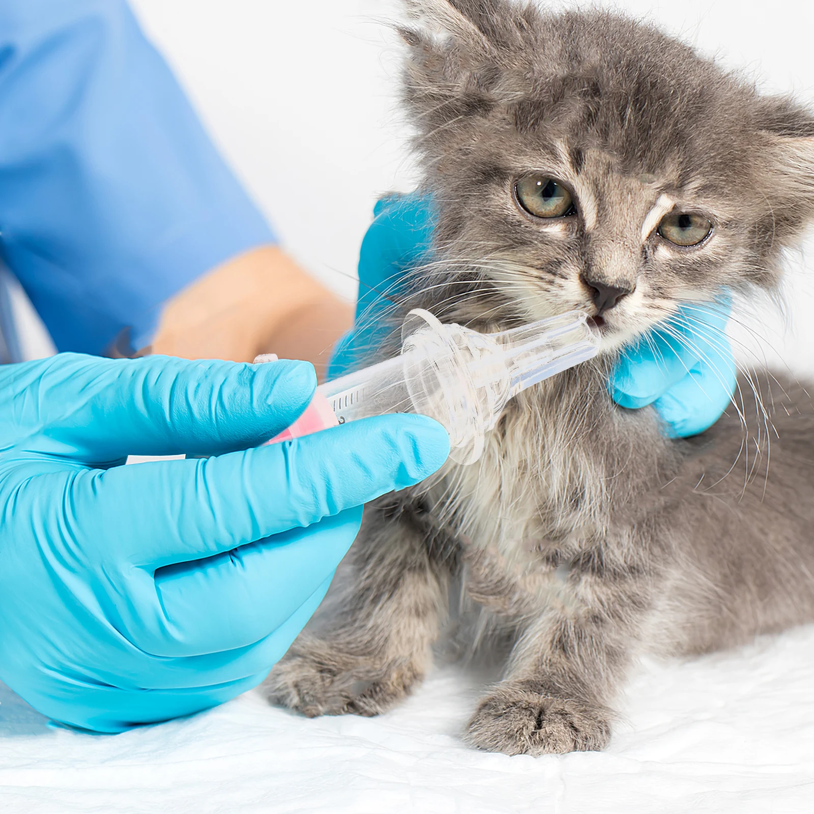 1Set Press-Type Pet Medicine Feeder Comfortable Grip Accurate Dosage Tool for Dogs Cats Rabbits Easy Clean Pet Catheter
1Set Press-Type Pet Medicine Feeder Comfortable Grip Accurate Dosage Tool for Dogs Cats Rabbits Easy Clean Pet Catheter