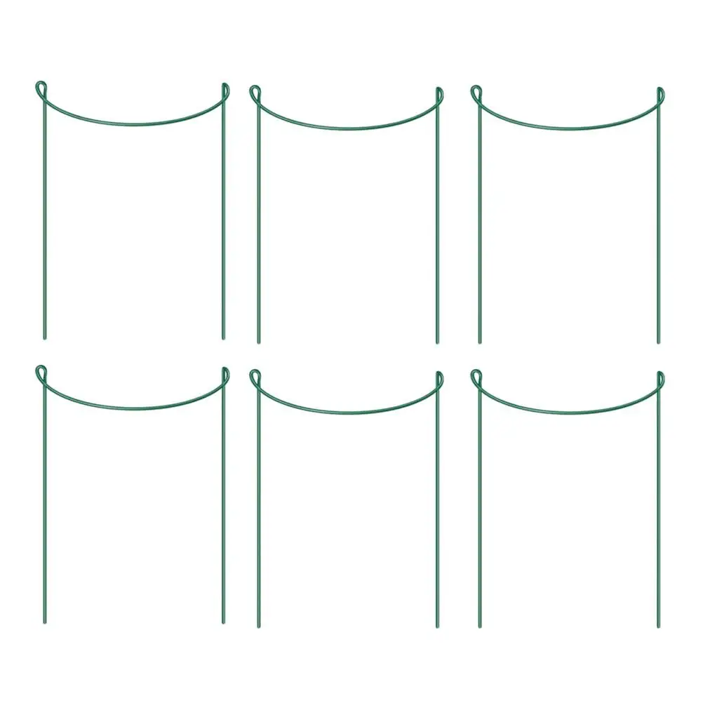 6pcs Plant Support Frame Iron Stakes Durable Reusable Upright Growth Correct Position Protect Strong Support Garden
6pcs Plant Support Frame Iron Stakes Durable Reusable Upright Growth Correct Position Protect Strong Support Garden