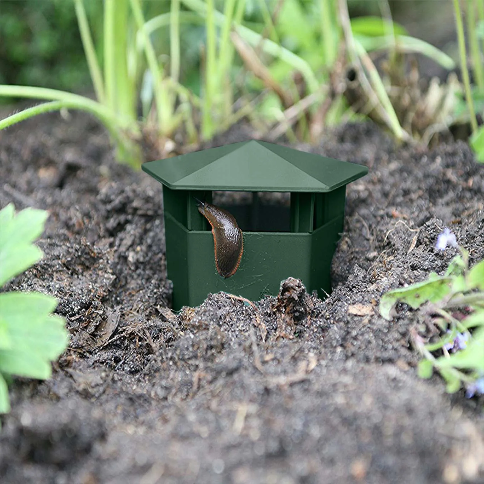 2/4/6/8/12pcs Snail Catcher Gintrap Slug Cage Eco-friendly Slug House Reusable Pests Bait Station Tools Garden Farm Protector
2/4/6/8/12pcs Snail Catcher Gintrap Slug Cage Eco-friendly Slug House Reusable Pests Bait Station Tools Garden Farm Protector