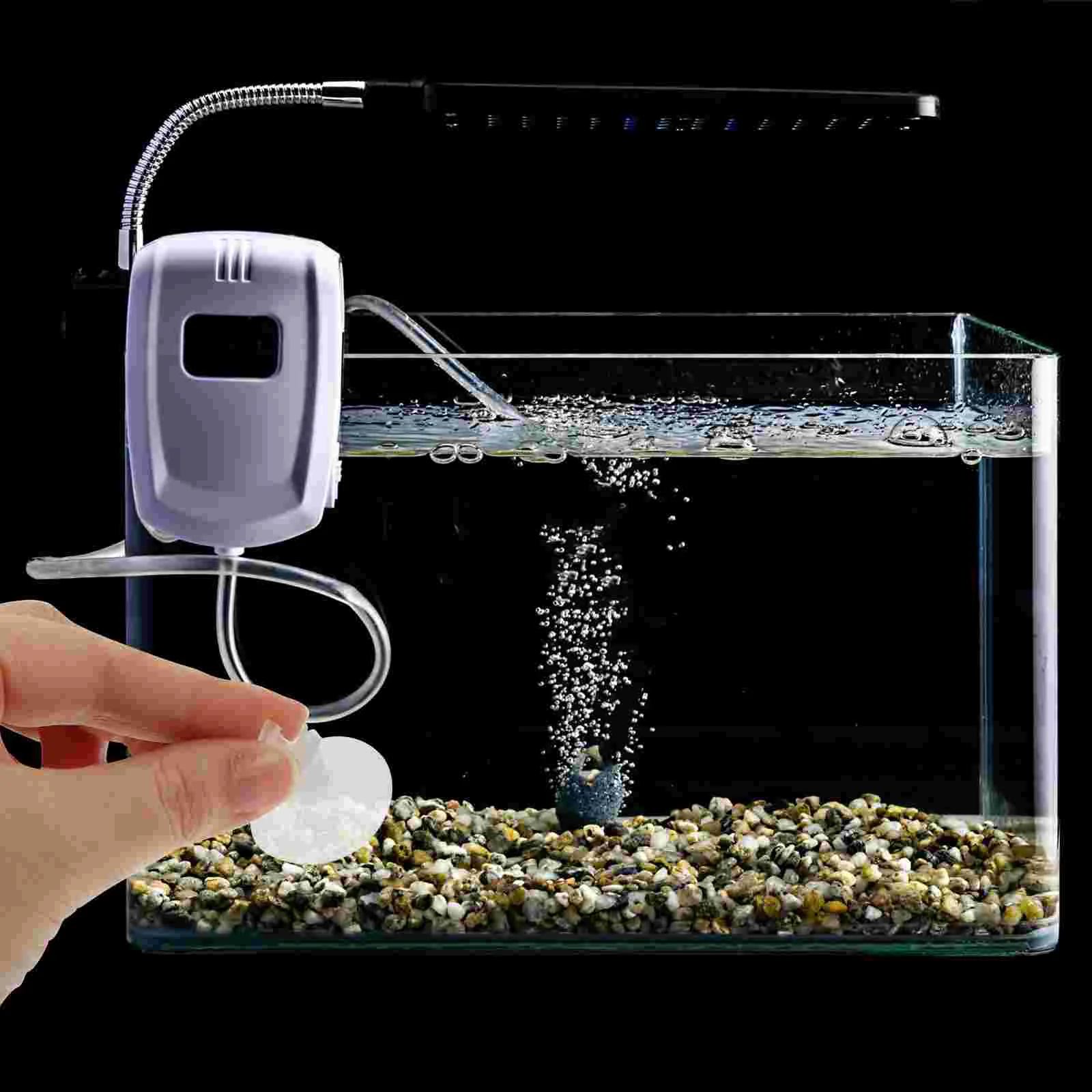 20Pcs Open Transparent Fixing Suction Cup Plastic Clamp Suction Cup Fish Tank Accessories for Aquarium Fish Tank
20Pcs Open Transparent Fixing Suction Cup Plastic Clamp Suction Cup Fish Tank Accessories for Aquarium Fish Tank