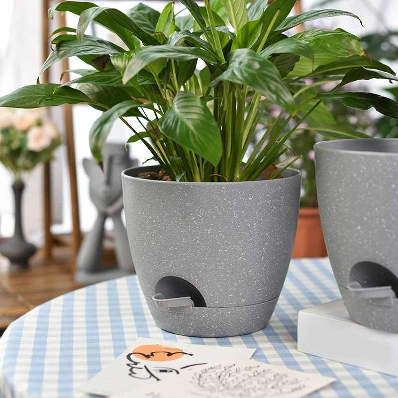 2 Layer Succulent Plant With Cotton Rope Hydroponics Self-Watering Lazy Flowerpot Watering Planter Flower Pot
2 Layer Succulent Plant With Cotton Rope Hydroponics Self-Watering Lazy Flowerpot Watering Planter Flower Pot