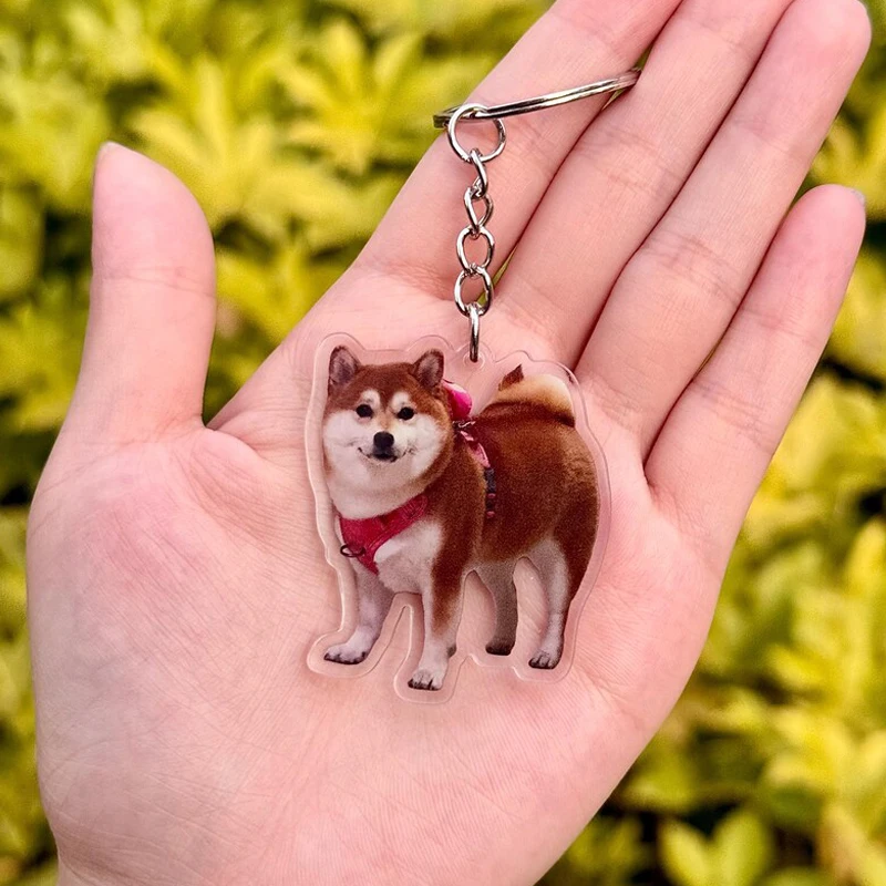 Custom Cute Pet Photo Keychain Custom Acrylic Dog Cat Photo Keychains For Bag Car Personalized Memorial Jewelry Anniversary Gift
Custom Cute Pet Photo Keychain Custom Acrylic Dog Cat Photo Keychains For Bag Car Personalized Memorial Jewelry Anniversary Gift