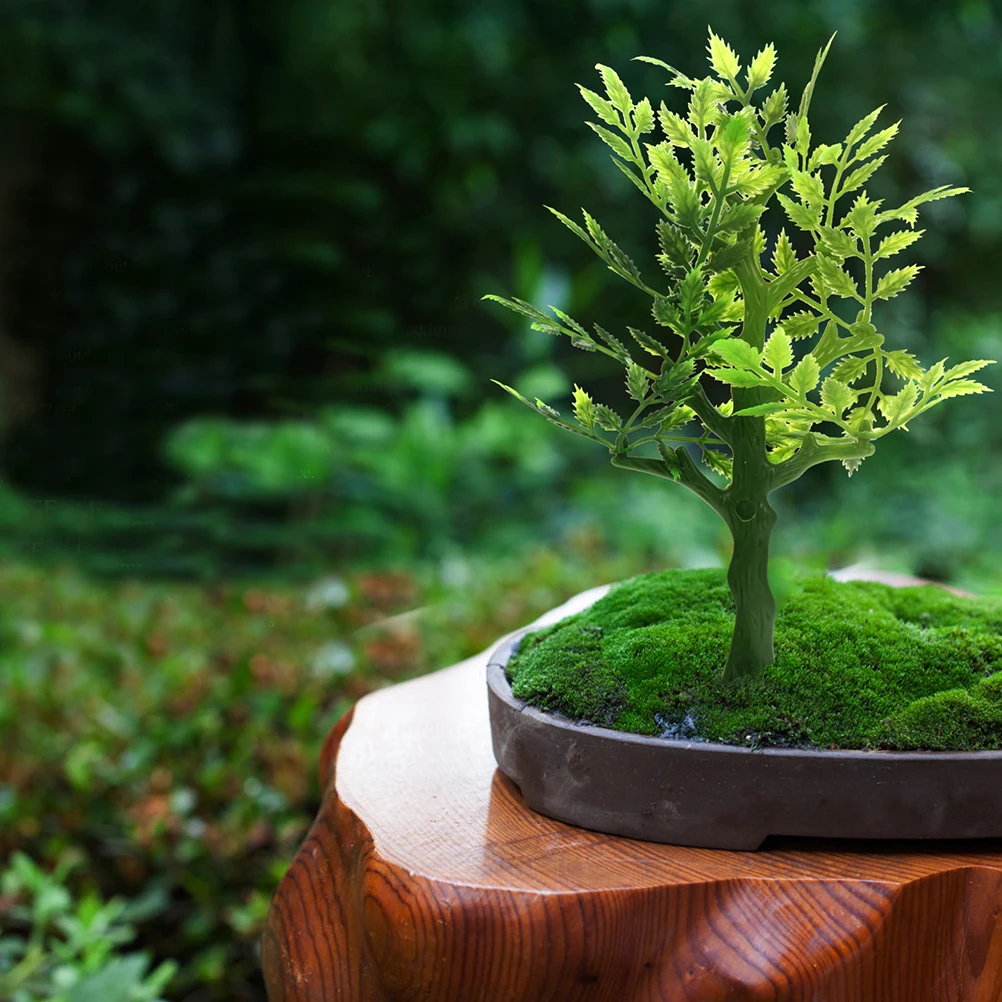 10 Pcs Artificial Green Trees Model Trees S Table Scene Photo Props DIY Toys Teenagers Building Accessories Realistic Appearance
10 Pcs Artificial Green Trees Model Trees S Table Scene Photo Props DIY Toys Teenagers Building Accessories Realistic Appearance