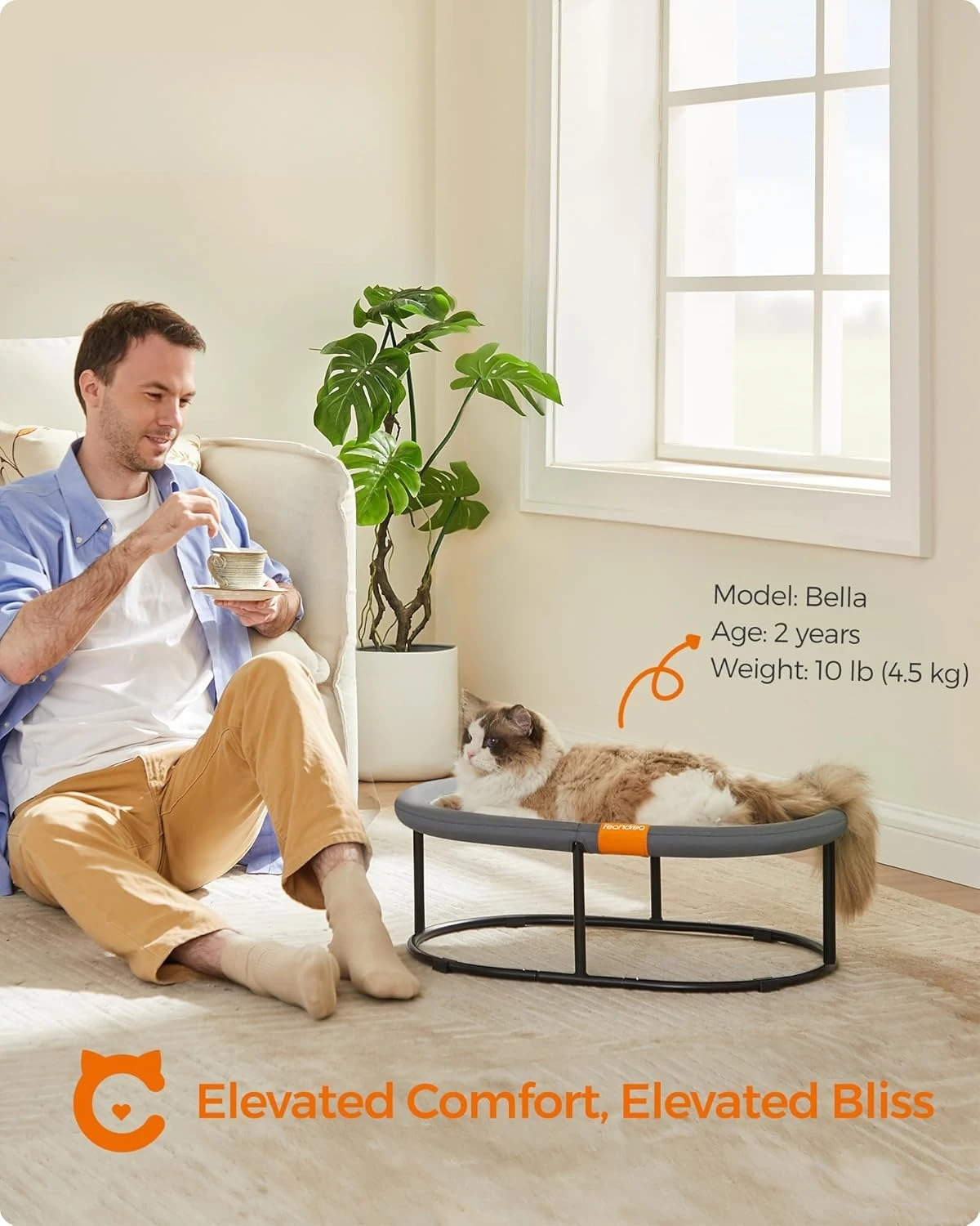 Pet Bed, Cat Hammock, Elevated Cat Bed for Multiple Cats, with Removable Washable Mesh, for Pets up to 28 lb
Pet Bed, Cat Hammock, Elevated Cat Bed for Multiple Cats, with Removable Washable Mesh, for Pets up to 28 lb