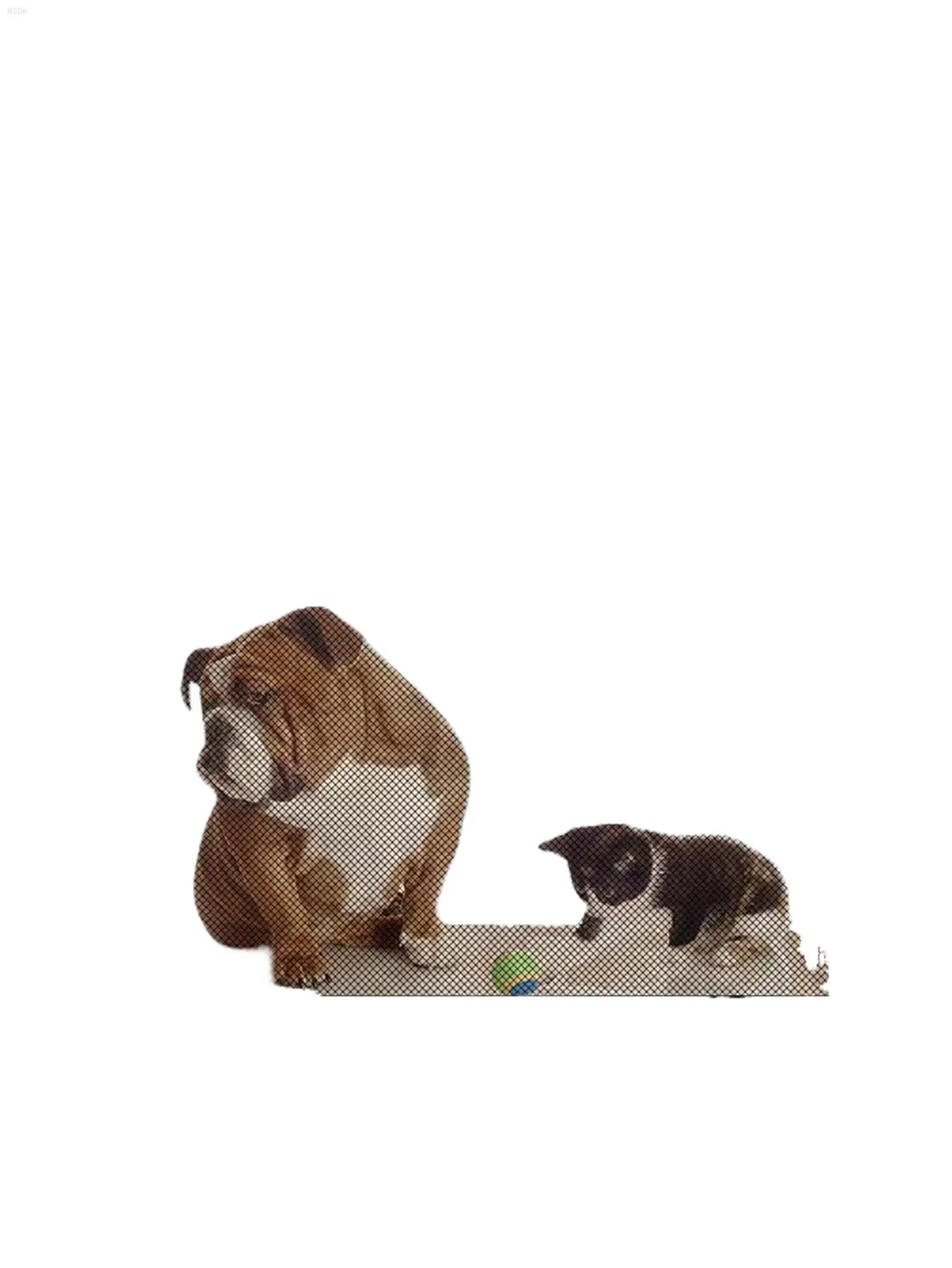 NSDMPortable Folding Pet Gate - Keep Your Dog Safe and Secure with this Isolation Fence
NSDMPortable Folding Pet Gate - Keep Your Dog Safe and Secure with this Isolation Fence