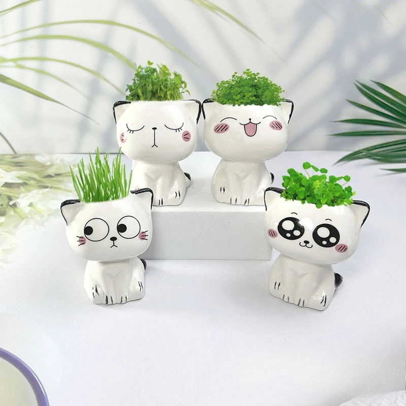 1pc Ceramic Flowerpot Mini Cartoon Cat Cute Plant Desktop Ornament Potted Plant Pot DIY Decorate Science Education School Gifts
1pc Ceramic Flowerpot Mini Cartoon Cat Cute Plant Desktop Ornament Potted Plant Pot DIY Decorate Science Education School Gifts