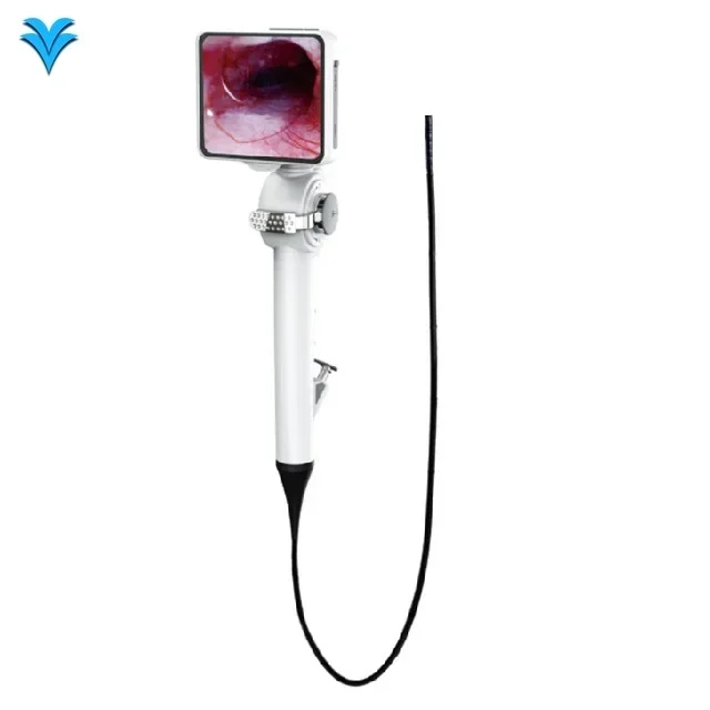 Animal Clinic Portable Veterinary Endoscope Flexible Veterinary Multipurpose Endoscope
Animal Clinic Portable Veterinary Endoscope Flexible Veterinary Multipurpose Endoscope