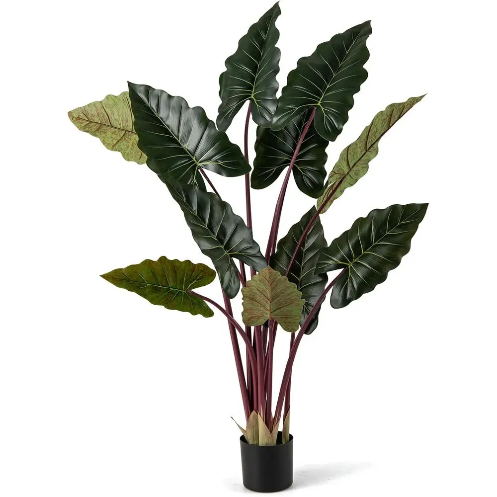 63 Tall Pre-Potted Artificial Taro Tree with 11 Auxiliary Leaves and Flexible Stems for Indoor and Outdoor Decor
63 Tall Pre-Potted Artificial Taro Tree with 11 Auxiliary Leaves and Flexible Stems for Indoor and Outdoor Decor