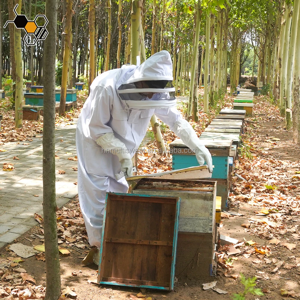 Materiales De Apicultura Bee Suit For Hot Region
Materiales De Apicultura Bee Suit For Hot Region