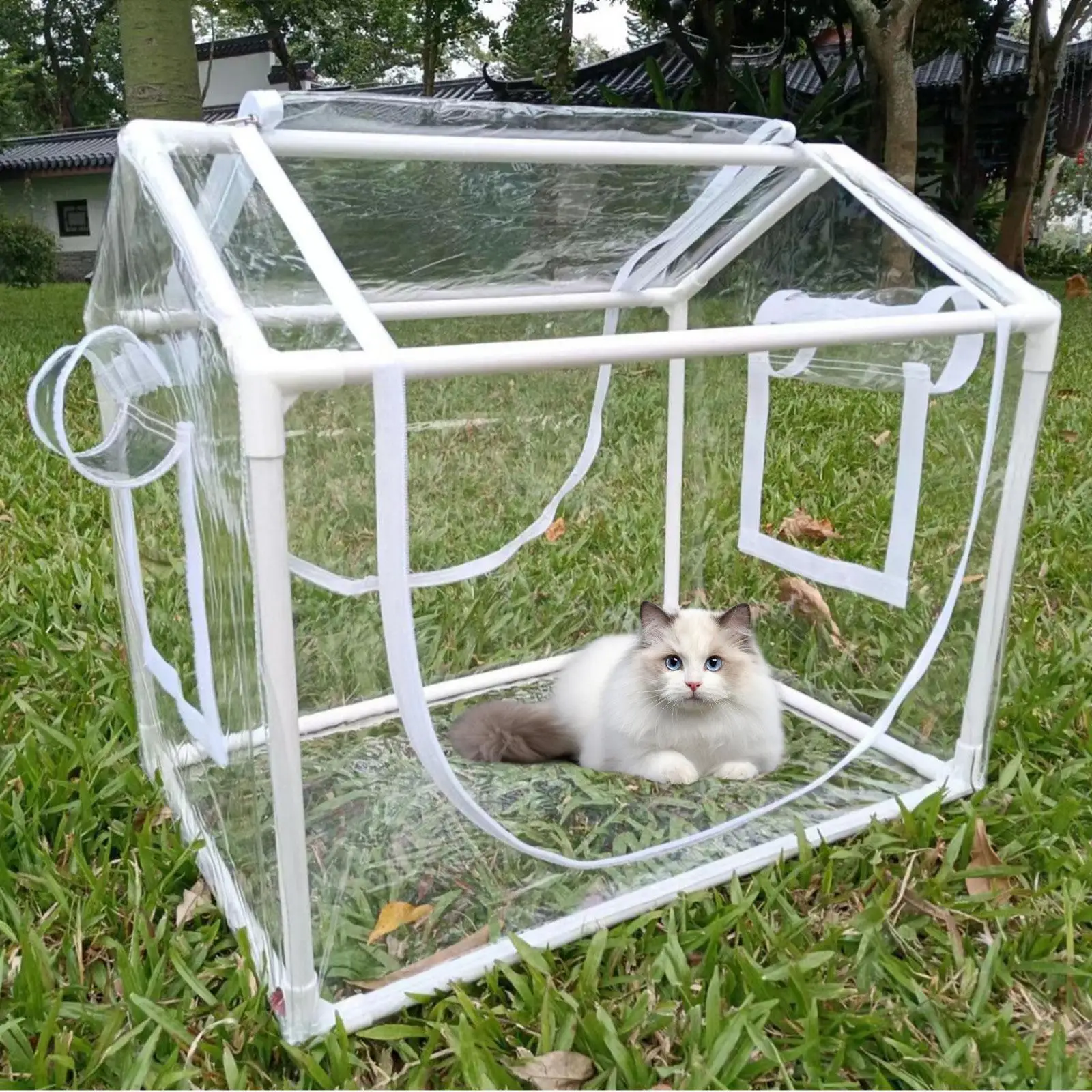 Mini Greenhouse PVC Easy to Install Practical Transparent Cold Resistant ,Portable, Plant Tent for Patio Balcony Window
Mini Greenhouse PVC Easy to Install Practical Transparent Cold Resistant ,Portable, Plant Tent for Patio Balcony Window