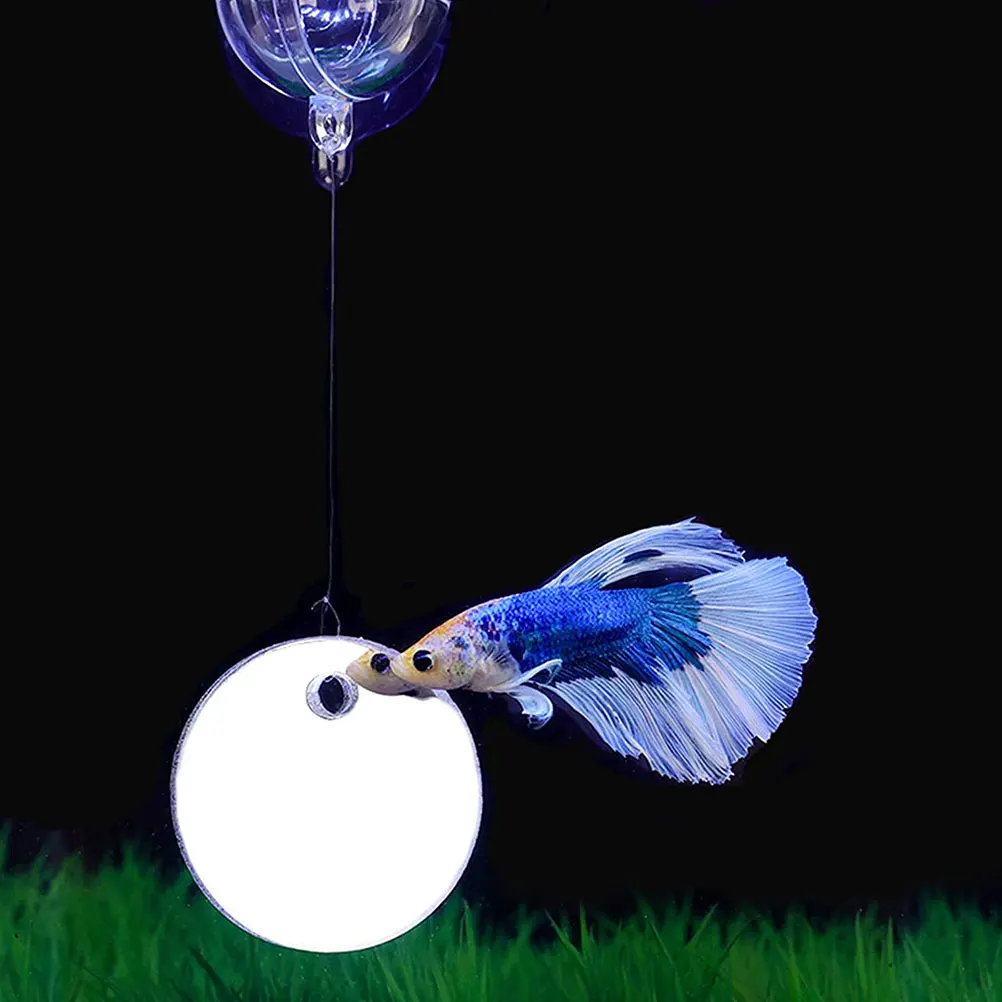 Fish Tank Mirror Betta Aquarium Plastic Floating Decoration Accessories Travel Toy Decor Long Lasting Durable Gentle Material
Fish Tank Mirror Betta Aquarium Plastic Floating Decoration Accessories Travel Toy Decor Long Lasting Durable Gentle Material