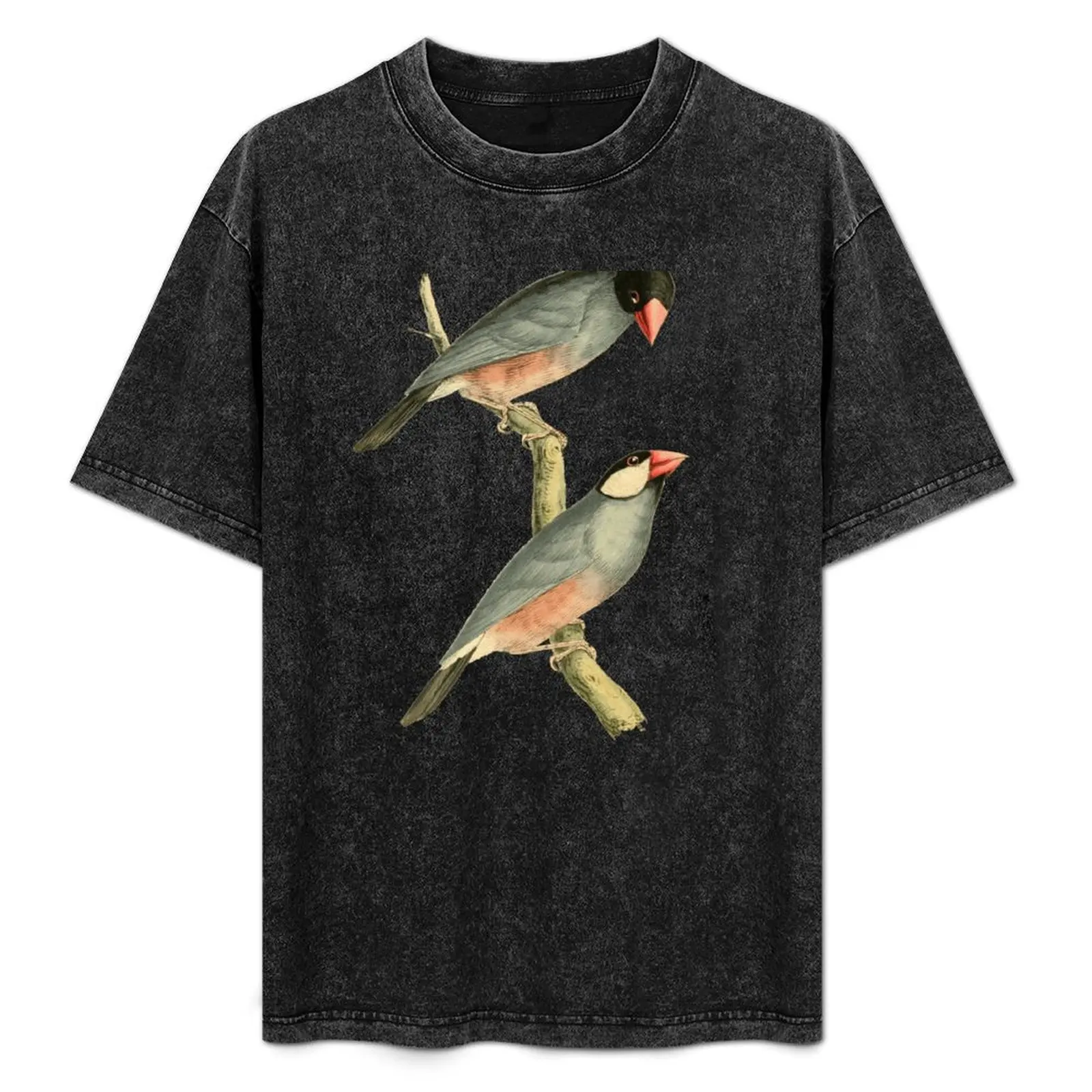Paddy bird, Rice bird, or Java Sparrow Bird Illustration by William Swainson T-Shirt Outdoor Activity Sports T-Shirt
Paddy bird, Rice bird, or Java Sparrow Bird Illustration by William Swainson T-Shirt Outdoor Activity Sports T-Shirt