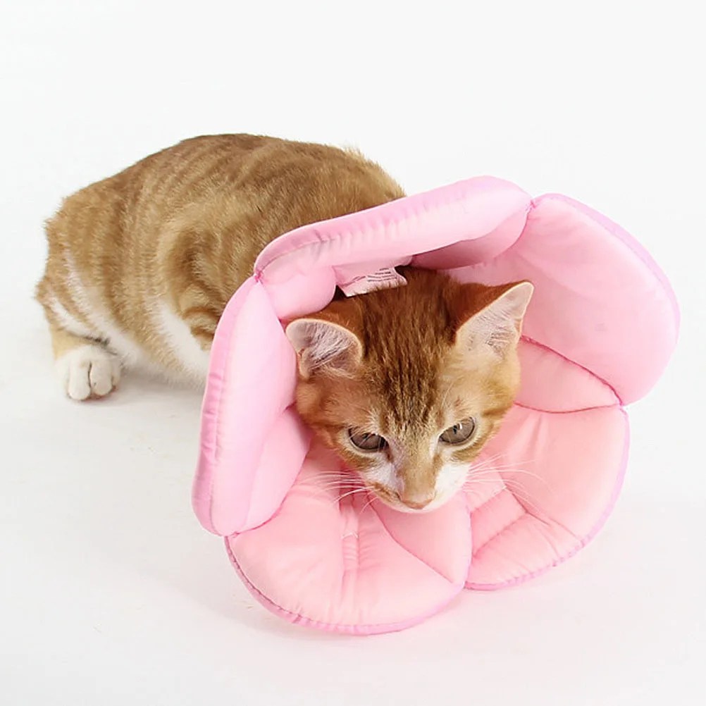 Elizabethan Flower Pet Collar Pink Size Xl Lightweight Durable Recovery Collar Protective Prevents Scratching Licking Injuries
Elizabethan Flower Pet Collar Pink Size Xl Lightweight Durable Recovery Collar Protective Prevents Scratching Licking Injuries