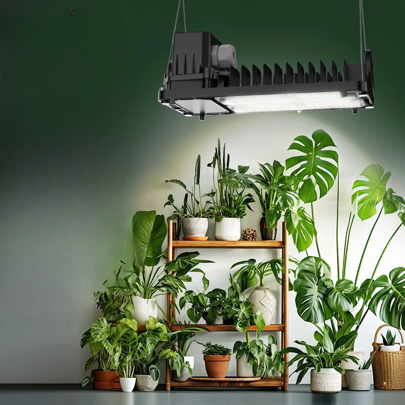 Plant filling light full spectrum succulent flower shop greenhouse flower shop filling light hydroponic light green plants
Plant filling light full spectrum succulent flower shop greenhouse flower shop filling light hydroponic light green plants